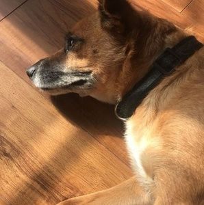 Meet your Posher, Angel